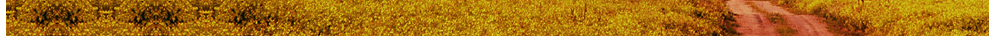 Stormfront Productions | Professional Web Design