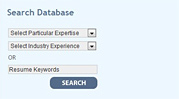 Talent Database Search Options